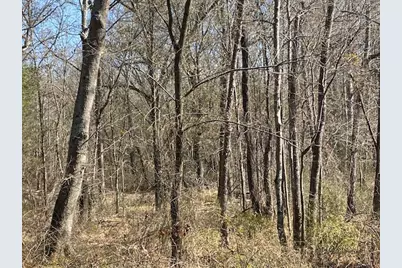 4101 Cr 3703, Athens, TX 75752 - Photo 28