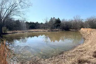 105 E Riley, Wortham, TX 76693 - Photo 10