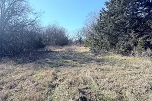 105 E Riley, Wortham, TX 76693 - Photo 4