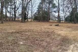 2260 Co Rd 1439, Sulphur Springs, TX 75482 - Photo 16