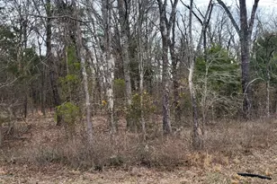 2260 Co Rd 1439, Sulphur Springs, TX 75482 - Photo 20