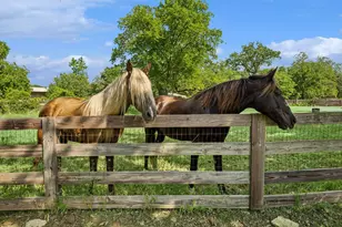 525 E Hickory Hill Rd, Argyle, TX 76226 - Photo 32