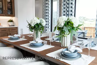 3725 American Paint Drive, Aubrey, TX 76227 - Photo 34