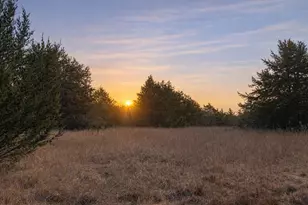 Lots 162A 162B 163A SW Cr 4011, Dawson, TX 76639 - Photo 1