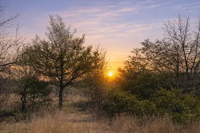 Lots 162A, 162B, 163A SW Cr 4011, Dawson, TX 76639 - Photo 2
