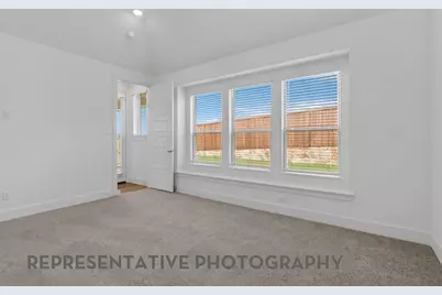 3729 American Paint Drive, Aubrey, TX 76227 - Photo 12