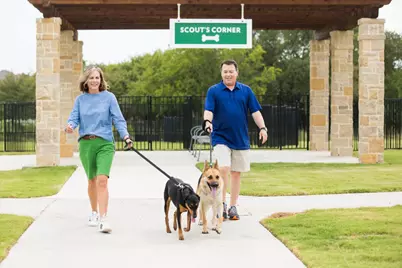 3729 American Paint Drive, Aubrey, TX 76227 - Photo 24