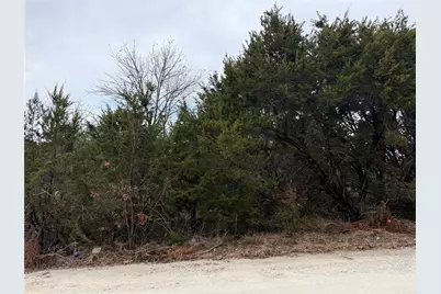 2102 Cactus Alley, Granbury, TX 76048 - Photo 1