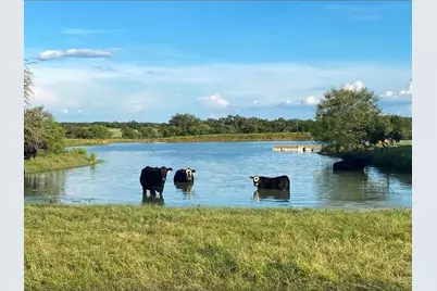 Lot 17 Brazos Mountain Ranch, Mineral Wells, TX 76067 - Photo 4