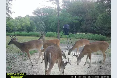 2588 County Road 2510, Quinlan, TX 75474 - Photo 2
