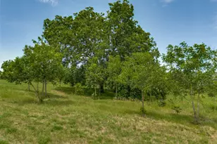 2457 NE County Road 0080, Corsicana, TX 75109 - Photo 30