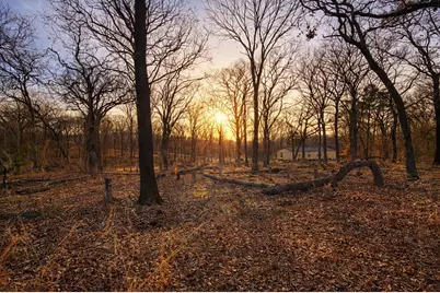 4879 Cobb Road, Kingston, OK 73439 - Photo 6