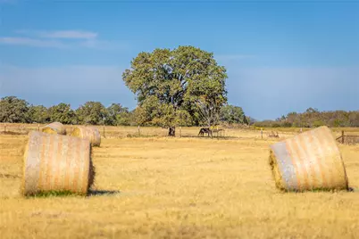 0000 Fm-920, Bridgeport, TX 76426 - Photo 4