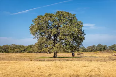 0000 Fm-920, Bridgeport, TX 76426 - Photo 10