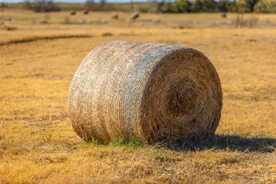 0000 Fm-920, Bridgeport, TX 76426 - Photo 8