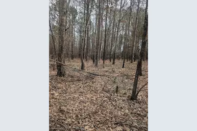 0 Cr 3427, Hawkins, TX 75765 - Photo 1