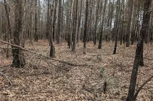 00 Cr 3427, Hawkins, TX 75765 - Photo 1