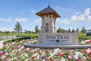 2591 Fountain St, Prosper, TX 75078 - Photo 24