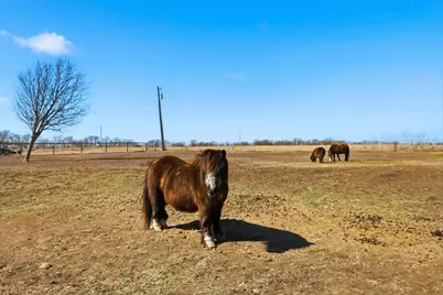 4015 Fm 67, Itasca, TX 76055 - Photo 30
