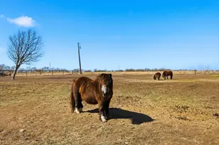 4015 FM 67, Itasca, TX 76055 - Photo 30