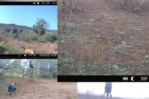 475 Co Rd 321, Abilene, TX 79606 - Photo 38