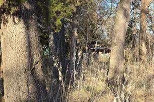 4356 Southern Oaks Rd, Cleburne, TX 76031 - Photo 22