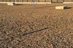 2342 Fenestra Dr, Dallas, TX 75228 - Photo 20