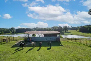 2711 FM250, Hughes Springs, TX 75656 - Photo 24