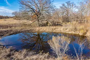 1959 Co Rd 3524, Dike, TX 75437 - Photo 8