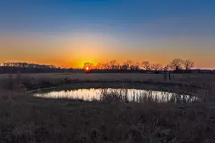 1959 Co Rd 3524, Dike, TX 75437 - Photo 10