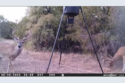 1500 Brown Road, Palo Pinto, TX 76484 - Photo 16