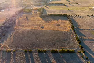 Tbd 15 Acres County Road 1033, Celeste, TX 75423 - Photo 1