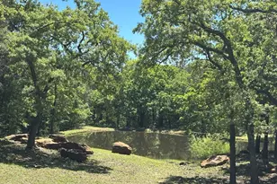 1619 Bloomfield Rd, Valley View, TX 76272 - Photo 1