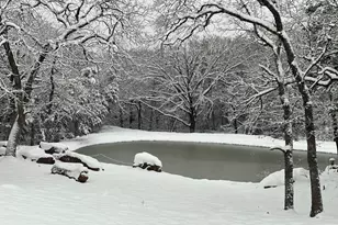 1619 Bloomfield Rd, Valley View, TX 76272 - Photo 24