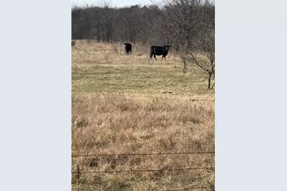 Tbd 14 Acres Winn Road, Collinsville, TX 76233 - Photo 2