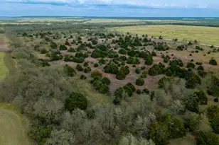 Tbd Lcr 189 E, Coolidge, TX 76635 - Photo 10