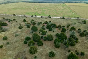 Tbd Lcr 189 E, Coolidge, TX 76635 - Photo 14