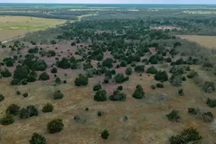 Tbd Lcr 189 E, Coolidge, TX 76635 - Photo 12