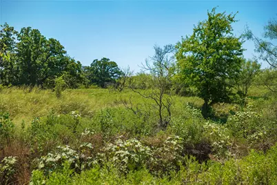 131.7 Acres Roney Road, Jacksboro, TX 76458 - Photo 24