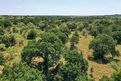 131.7 Acres Roney Road, Jacksboro, TX 76458 - Photo 16