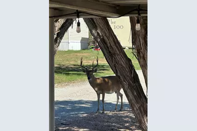2334 Sanbar Road #104, Possum Kingdom Lake, TX 76449 - Photo 24