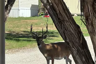 2334 San Bar Rd, Possum Kingdom Lake, TX 76449 - Photo 24