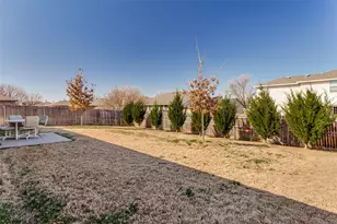 329 Indian Blanket Dr, Burleson, TX 76028 - Photo 22