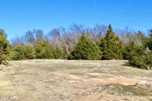 1455 Co Rd 4280, Decatur, TX 76234 - Photo 36