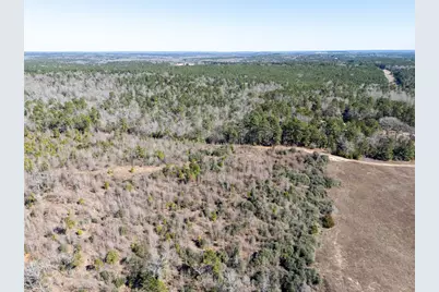 00000 County Road 442, Palestine, TX 75803 - Photo 4