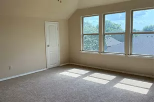 3809 White Summit Ln, Melissa, TX 75454 - Photo 16