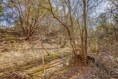 1113 County Road 407A, Nemo, TX 76070 - Photo 22