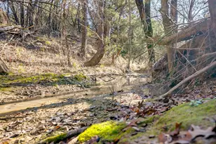 1113 Co Rd 407A, Nemo, TX 76070 - Photo 26