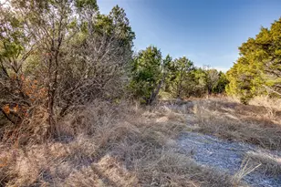 1113 Co Rd 407A, Nemo, TX 76070 - Photo 18