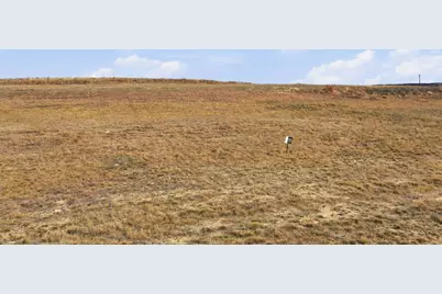 3004 Palermo Drive, Brock, TX 76087 - Photo 4